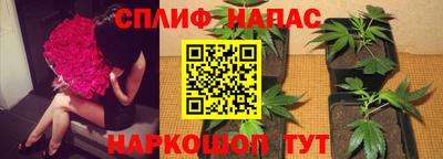крисы Волгодонск