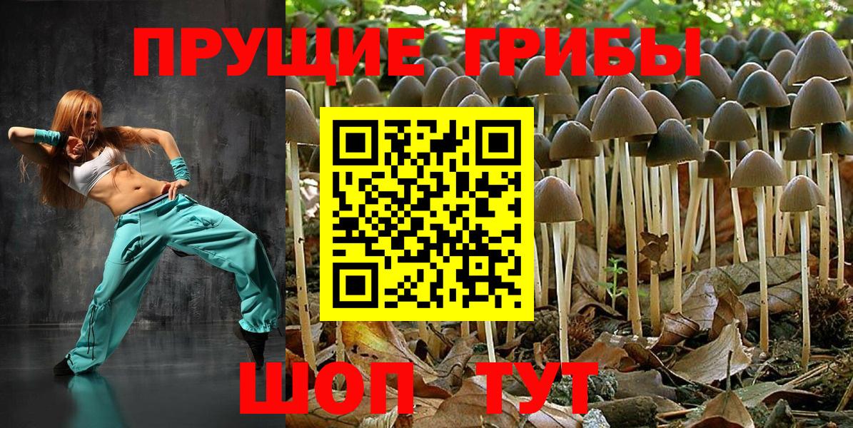 Галлюциногенные грибы ЛСД Шелехов