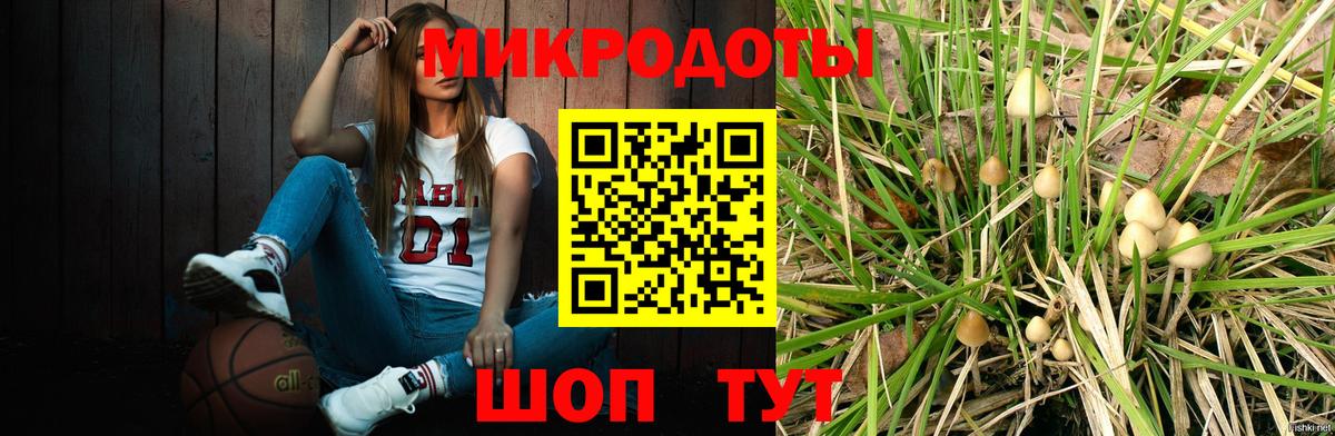 Псилоцибиновые грибы прущие грибы  Вход с VPN  цена наркотик  Шелехов 