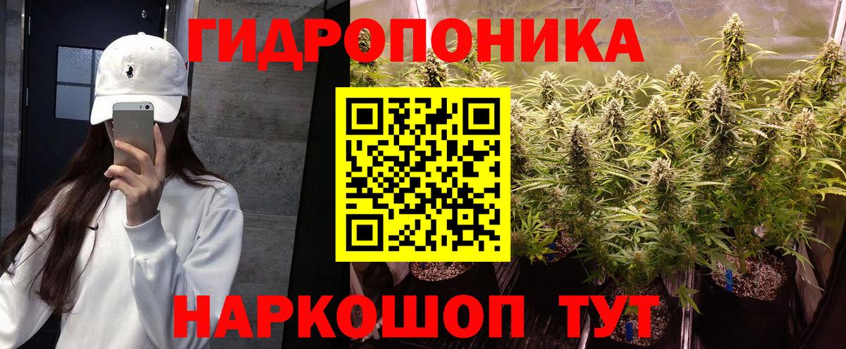 Каннабис план Шелехов